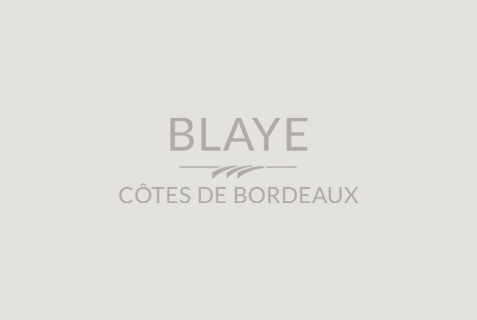 Journée Initiation Vendanges au Château Petit Boyer