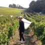 Journée Initiation Vendanges au Château Monconseil-Gazin