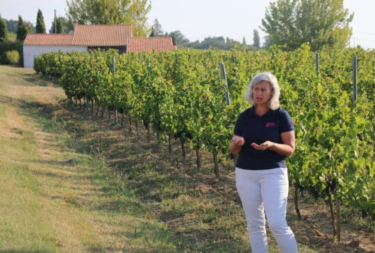 Vinobalade : dînez chez le vigneron au Château Pinet la Roquette