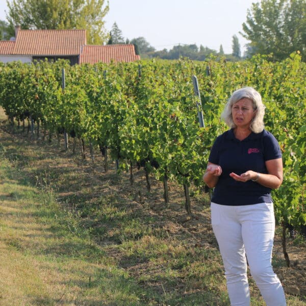 Vinobalade : dînez chez le vigneron au Château Pinet la Roquette