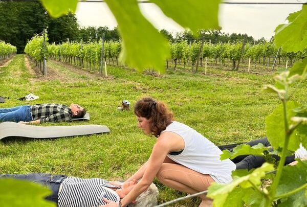 Afterwork bien-être aux Vignobles Raguenot / Château des Tourtes