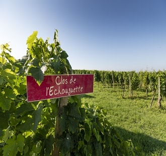 CHASSE AUX TRÉSORS DIGITALE : 2ème étape