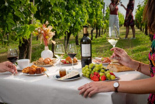 Wine & Brunch au Château Pinet La Roquette