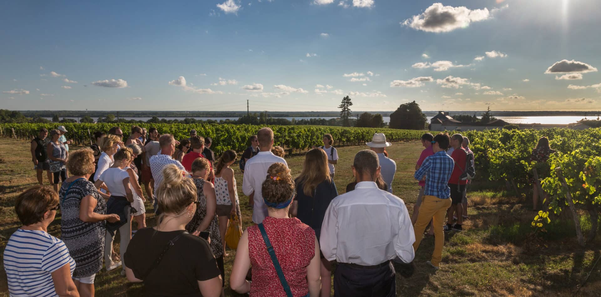   Cet été partez à la rencontre des vignerons  Guinguettes, portes-ouvertes, soirée repas au vignoble...